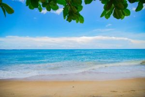 La colonie de vacances à la campagne