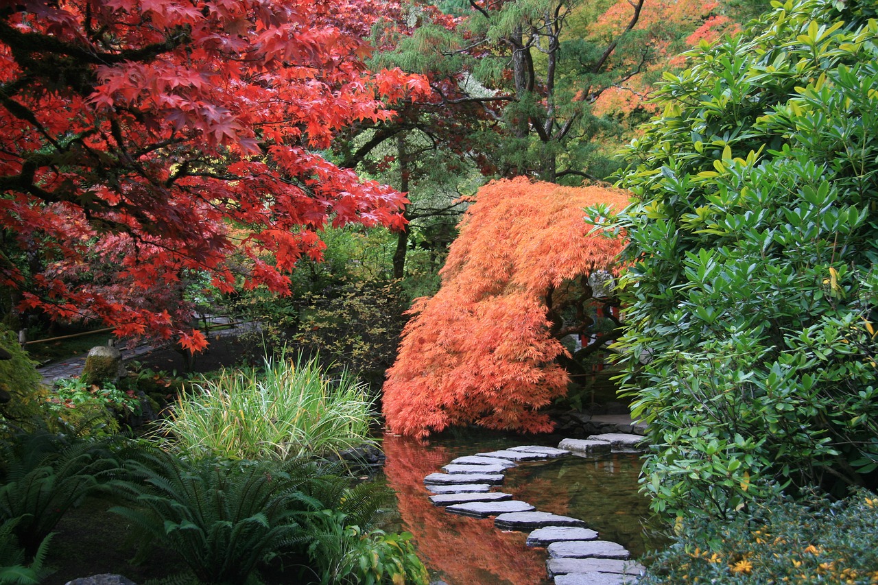 Un jardin japonais