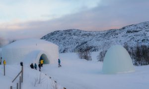 Hébergement insolite : que choisir entre la roulotte, l’igloo et la cabane ?