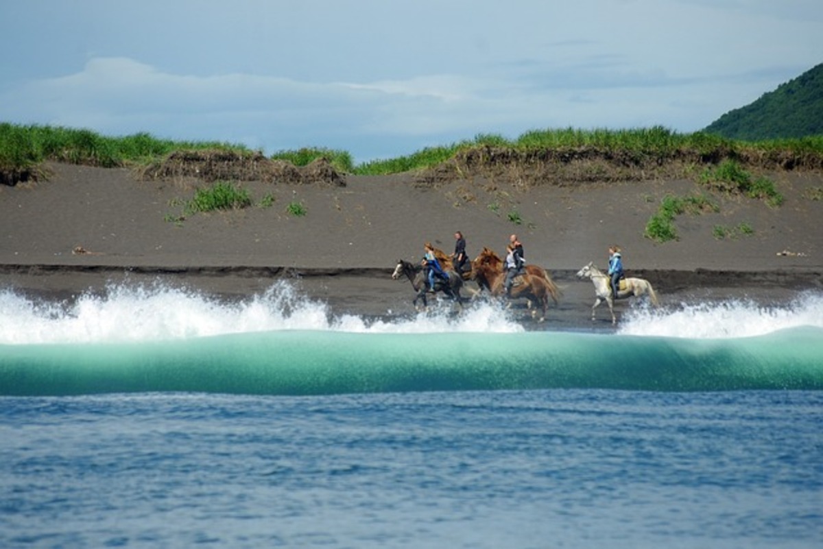 Le Horse-Surfing : une activité intéressante à découvrir
