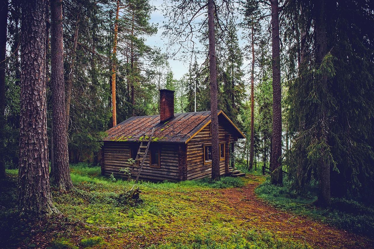 cabane dans les arbres