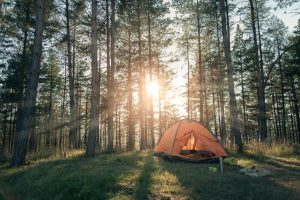 Les équipements de camping essentiels pour une expérience en forêt réussie
