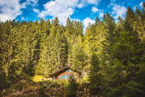 cabanes_dans_arbres