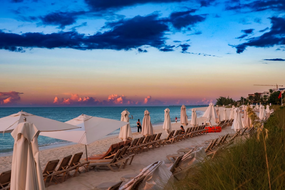 découvrez les plus belles plages, parfaites pour se détendre, nager et profiter du soleil toute l'année.