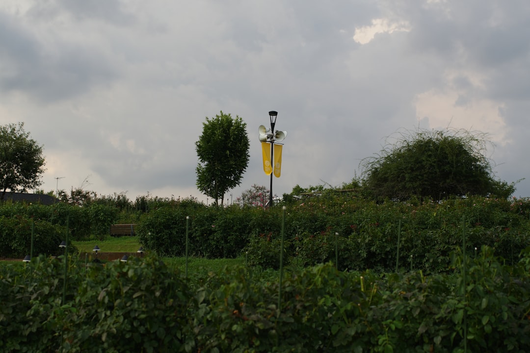 découvrez le lantern trail à metz, une promenade unique illuminée par des lanternes magiques offrant une expérience féerique pour toute la famille.