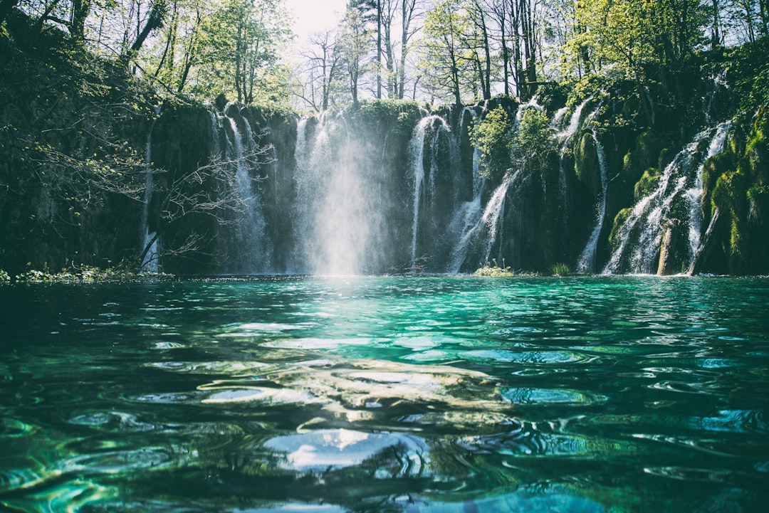 découvrez la beauté spectaculaire des cascades, où l'eau tombe avec force et élégance, offrant un spectacle naturel apaisant et impressionnant.