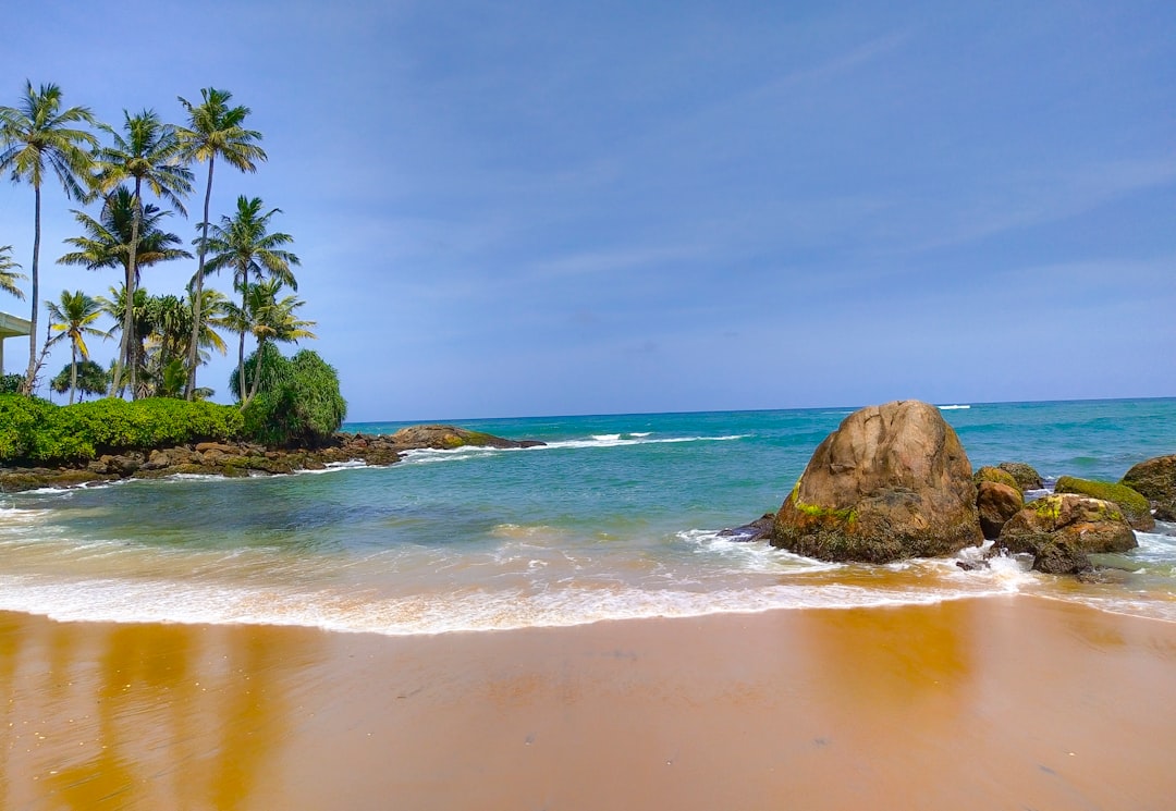 découvrez les plus belles plages avec leurs eaux cristallines, leurs sables fins et des paysages à couper le souffle pour des vacances inoubliables.