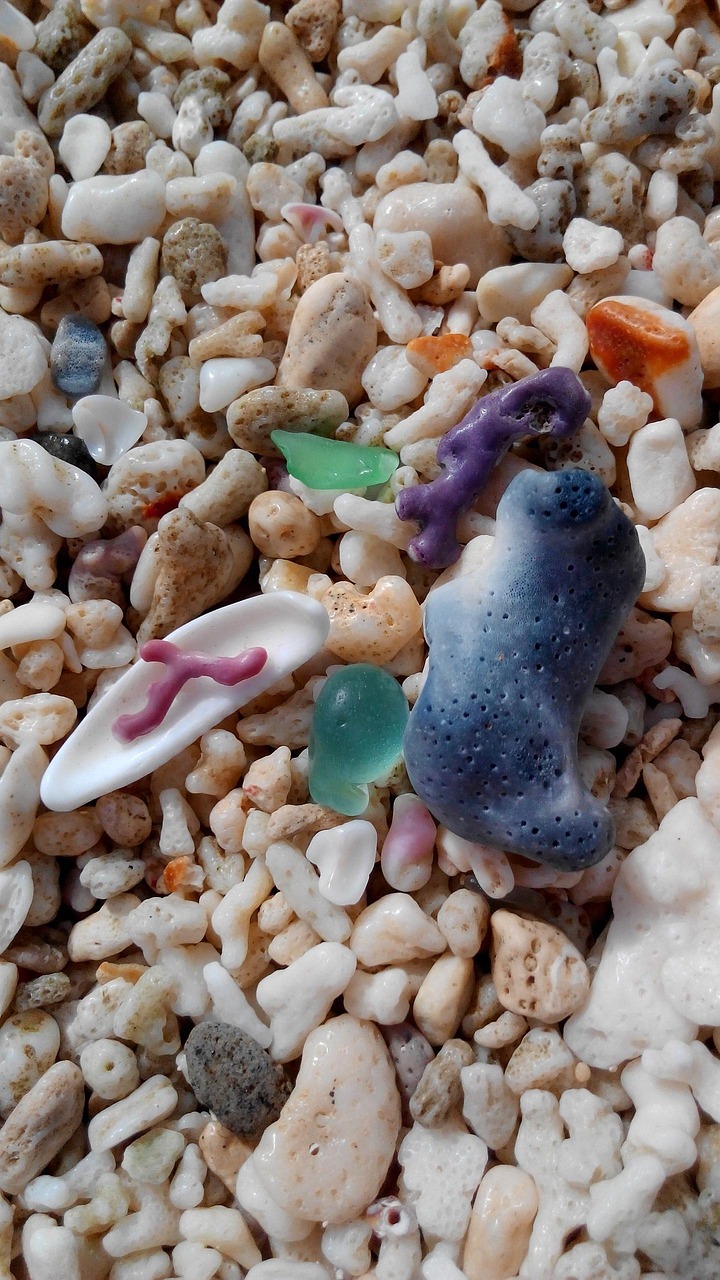 découvrez glass beach, la plage unique où des milliers de morceaux de verre coloré illuminent le sable, offrant un spectacle naturel fascinant et un lieu parfait pour les amateurs de nature et de photographie.