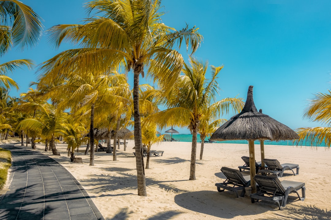 découvrez l'île maurice, un paradis tropical réputé pour ses plages de sable blanc, ses eaux turquoise et sa culture riche. parfait pour des vacances inoubliables alliant détente et aventure.