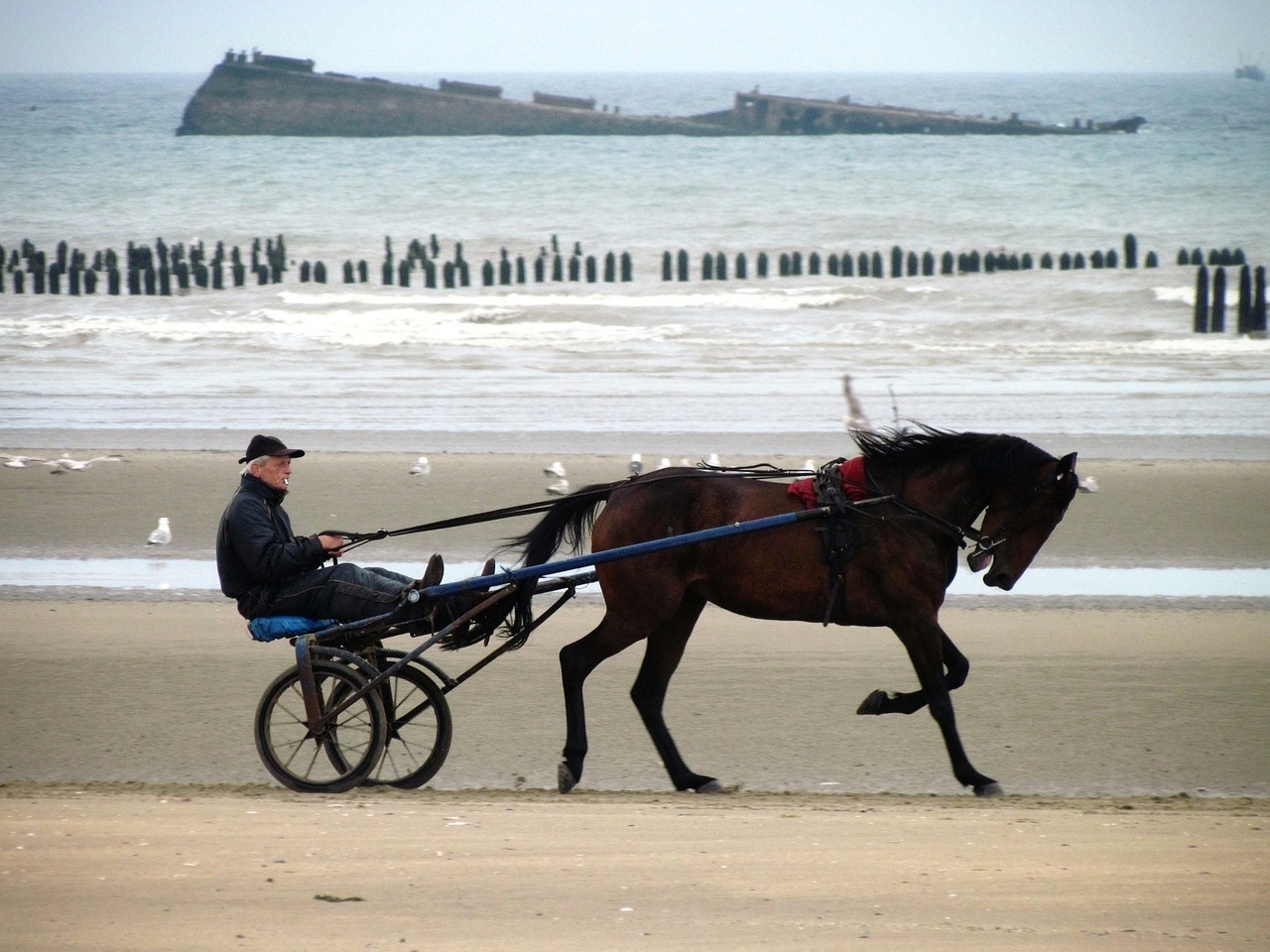 découvrez les plus belles plages, des étendues de sable fin aux eaux cristallines, pour des vacances inoubliables au bord de la mer.