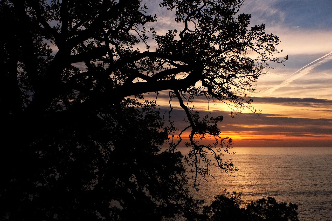 découvrez camogli, charmant village de pêcheurs sur la côte ligure, avec ses maisons colorées, son port pittoresque et sa délicieuse cuisine locale.