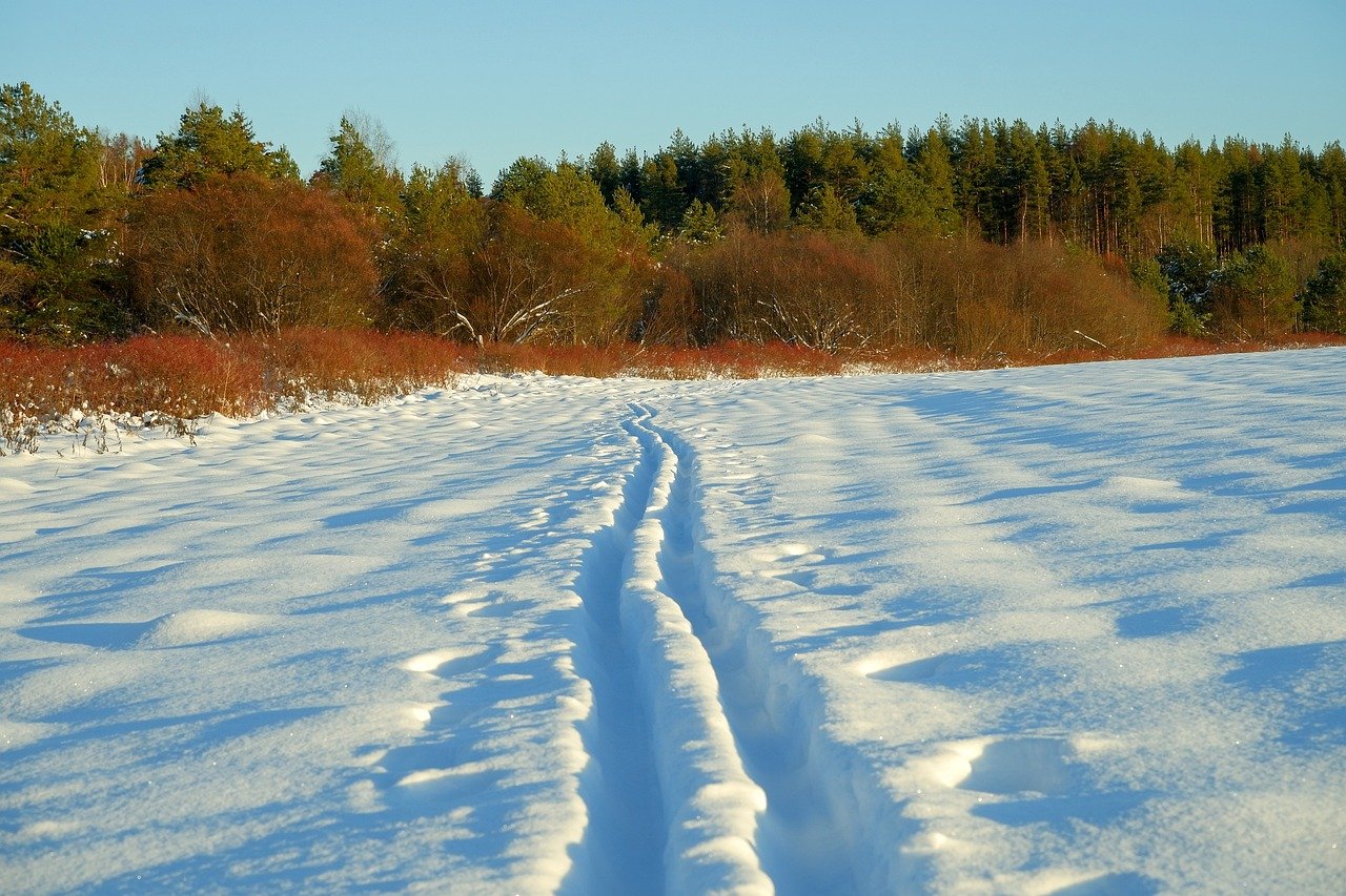 découvrez la beauté apaisante d'une promenade en pleine nature, idéale pour se ressourcer et admirer les paysages enchanteurs.