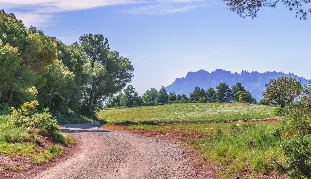 découvrez les joies de la randonnée en milieu rural : paysages authentiques, tranquillité et nature préservée pour des escapades ressourçantes.