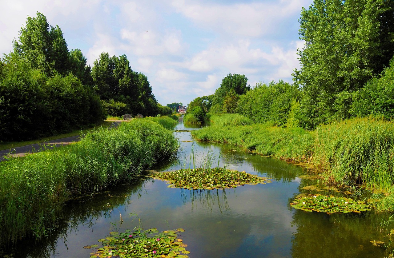 découvrez notre parc aquatique, un lieu de divertissement et de fraîcheur avec des attractions pour toute la famille, toboggans, piscines et espaces détente.