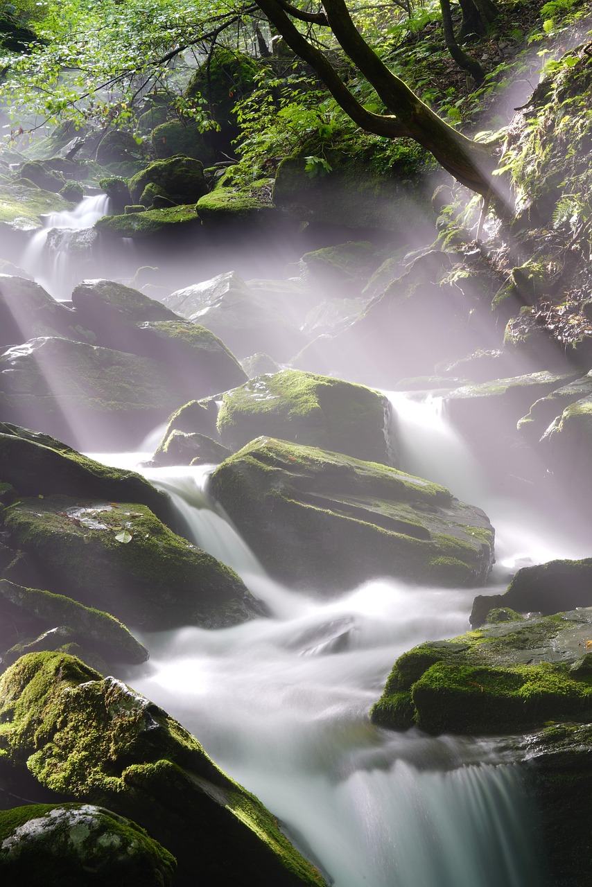 découvrez la beauté spectaculaire d'une cascade, un véritable spectacle naturel où l'eau ruisselle avec puissance et grâce, offrant un paysage apaisant et revigorant.