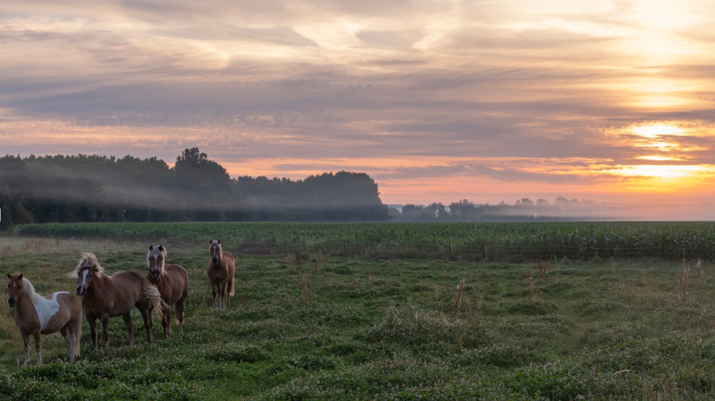 Gîte dans l’Aisne, un séjour nature et authenticité aux portes de la Champagne